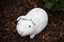Stone and Style Gartenfigur Meerschweinchen Helmut Frostfest Stein Grau/Braun Bild 1