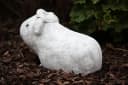 Stone and Style Gartenfigur Meerschweinchen Helmut Frostfest Stein Grau/Braun Bild 5