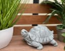 Stone and Style Gartenfigur Steinfigur Schildkröte Tortie Grau Bild 1
