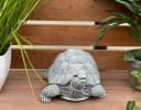 Stone and Style Gartenfigur Steinfigur Schildkröte Tortie Grau Bild 3