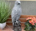 Stone and Style Gartenfigur Adler XL Frostfest Grau Bild 1