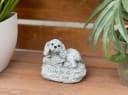 Stone and Style Frostfeste Steinfigur Hund „Danke für die schöne Zeit“ Grau Bild 1