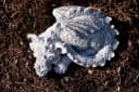 Stone and Style Gartenfigur Drache Flokii Grau Frostfest Bild 5