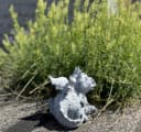 Stone and Style Gartenfigur Drache Filou Frostfeste Steinfigur Bild 5