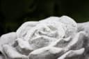 Stone and Style Gartenfigur Frostfeste Steinblüte Grau Bild 3