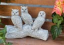 Stone and Style Gartenfigur Frostfeste Steinfigur 3 Eulen auf Baumstamm Grau Bild 4