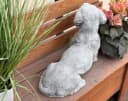 Stone and Style Gartenfigur Frostfeste Steinfigur Dackel XL lebensecht Grau Bild 4