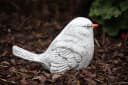 Stone and Style Gartenfigur Vogel Hansi Frostfest Grau Bild 1