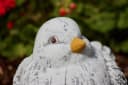 Stone and Style Gartenfigur Vogel Bert Grau Frostfest Bild 5