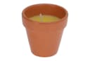 HAC24 Citronella Duftkerze im Terrakotta Topf 6er Set Mückenschutz Bild 1