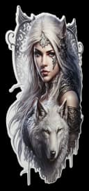 Figuren Shop GmbH Fantasy Wanddeko Elfenkriegerin Metallschild Bild 1