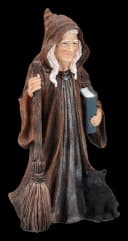 Figuren Shop GmbH Hexenfigur Aldora – Hexe Statue Dekofigur Gothic Deko 19 cm Zauberin Bild 3
