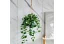 aplanta Künstlicher Hänge-Pothos Melusine Grün Bild 1