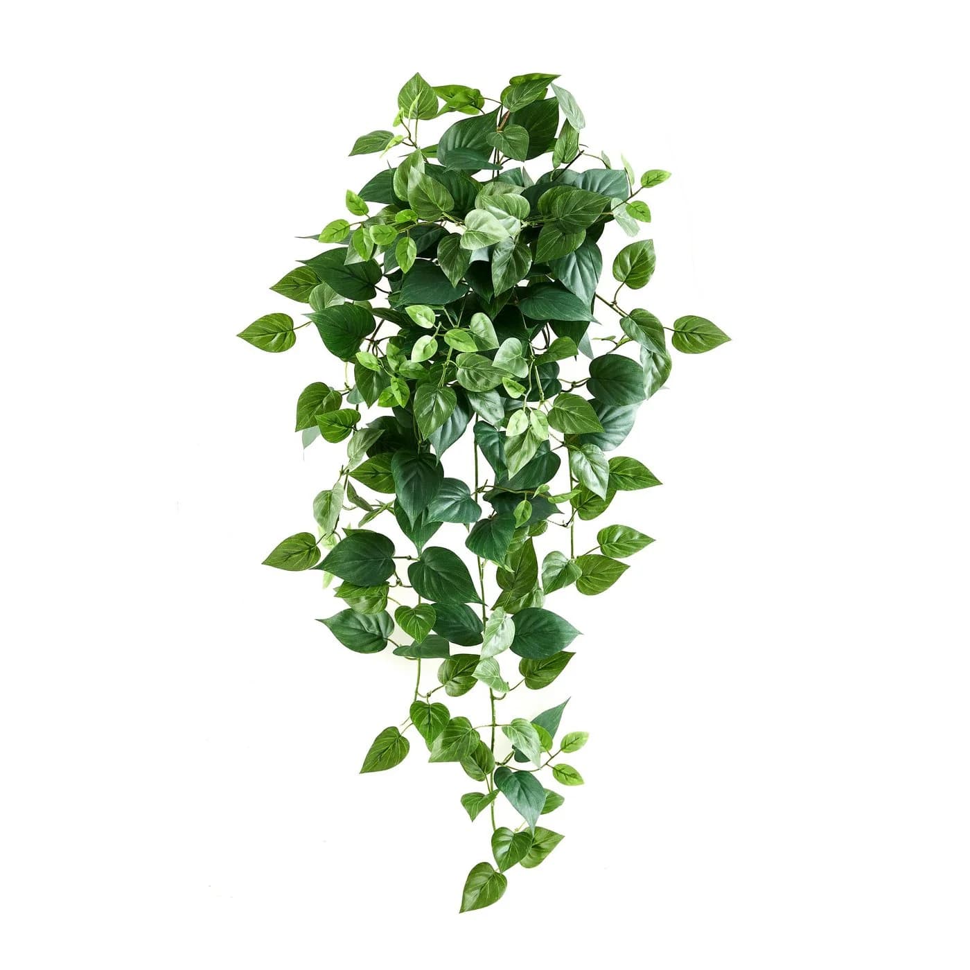 aplanta Künstlicher Hänge-Pothos Melusine Grün - Bild 2