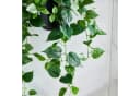 aplanta Künstlicher Hänge-Pothos Melusine Grün Bild 3