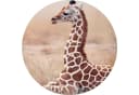 JACK Bettwäsche 135x200cm Giraffe 2-teilig Renforcé Bild 3
