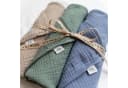 lilimaus Spucktuch Baby 3-tlg. aus 100% Baumwolle Beige/Blau/Grün Bild 2