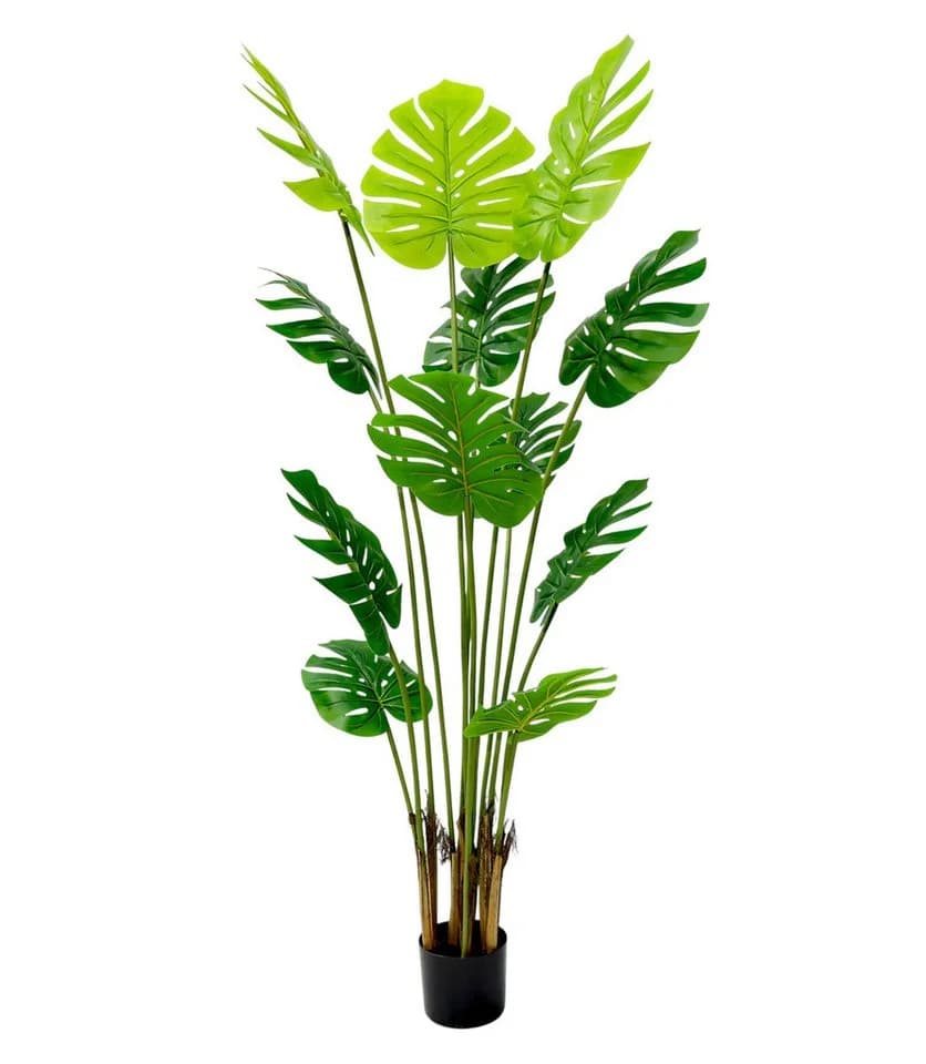 Arnusa Kunstbaum Monstera im Topf Grün Real-Touch - Bild 5