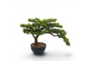 Arnusa Kunstbonsai 60 cm Kiefer Grün Schwarz Premium Bild 1