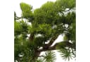 Arnusa Kunstbonsai 60 cm Kiefer Grün Schwarz Premium Bild 3
