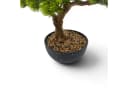 Arnusa Kunstbonsai 60 cm Kiefer Grün Schwarz Premium Bild 4