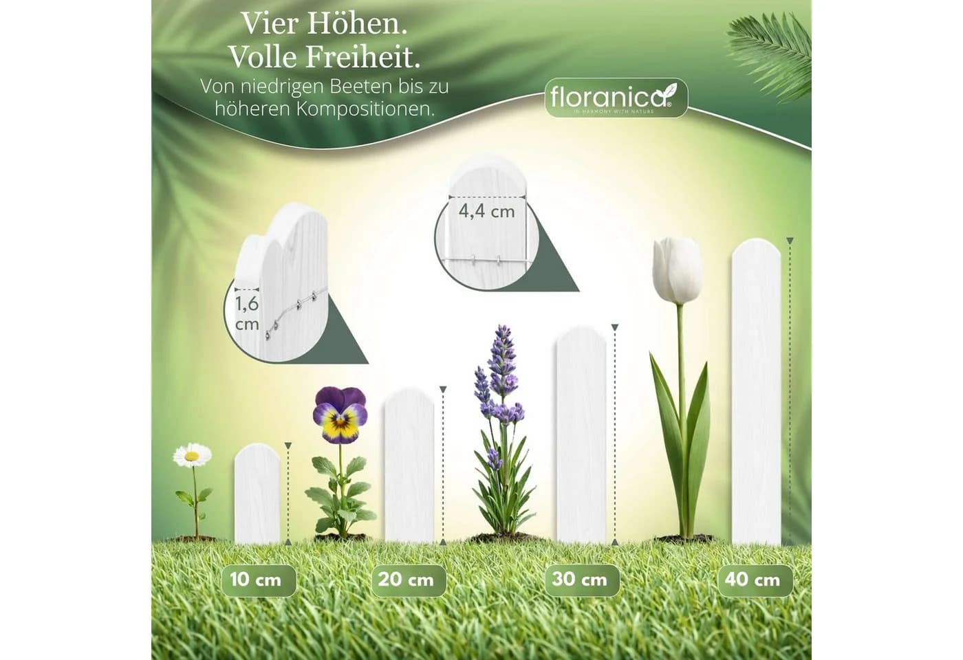 Floranica Rasenkante Beetumrandung Weiß Imprägniertes Holz - Bild 4