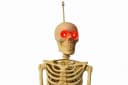 Koopman Skelettfigur Deko mit LED-Leuchteffekt Beige Bild 4