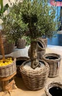 Van der Leeden Blumentopf Rattan Sylter Korb Braun/Schwarz Bild 4