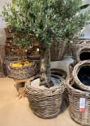 Van der Leeden Blumentopf Rattan Sylter Korb Braun/Schwarz Bild 5