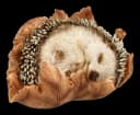 Figuren Shop GmbH Igel Statue Gartenfigur handbemalt Polyresin Bild 1
