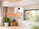 Reality Leuchten Akku-Ventilator mit Licht & Fernbedienung 27cm Bild 1