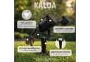 SSC-LUXon LED Gartenstrahler KALOA Schwarz GU10 IP44 Bild 3