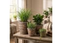 Marrakesch Orient & Mediterran Interior Übertopf 4er Set Rattan Braun Bild 4