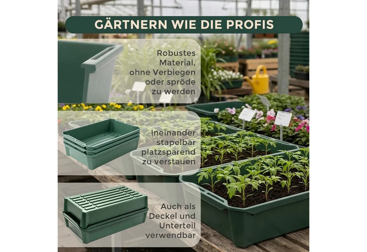 Hausfelder Pflanzschale Grün 58x32x11cm 10er Set