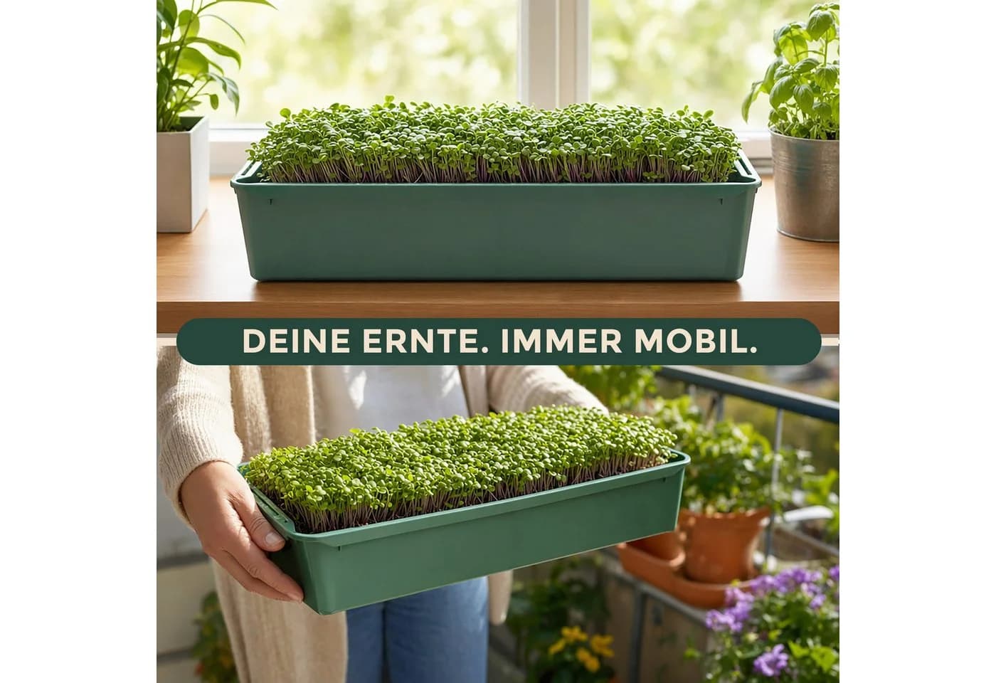 Hausfelder Pflanzschale Grün 58x32x11cm 10er Set - Bild 3