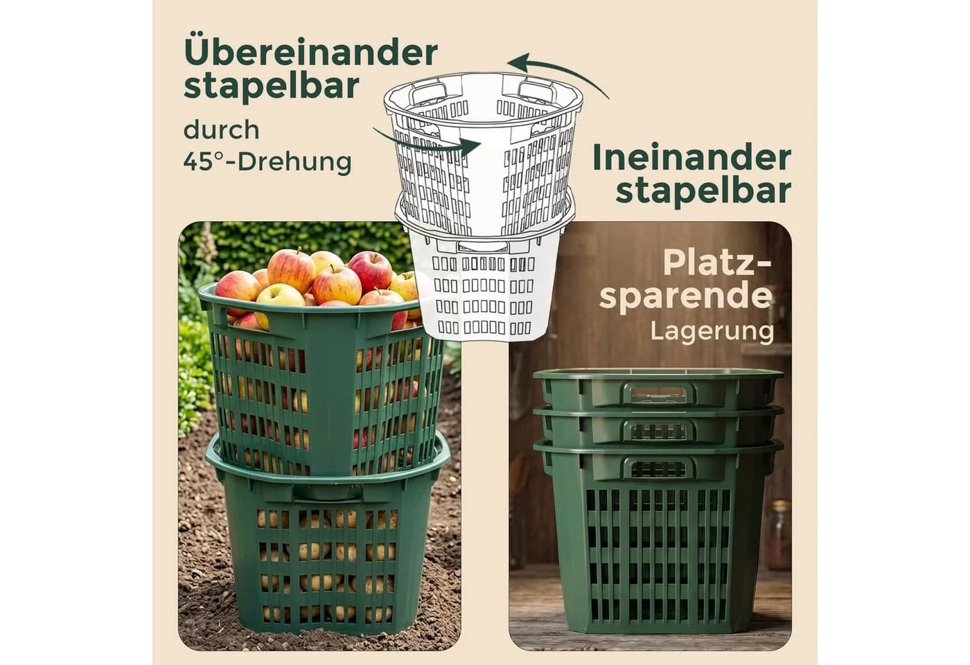 Hausfelder Erntekorb Grün 25 Liter Kunststoff - Bild 3