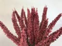 mucPlants Kunstblume Erika Calluna 28cm Rosa mit Steckstab Bild 4