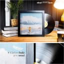 VinylRecordsLove Schallplattenrahmen 2er Set Schwarz Holz Bild 4