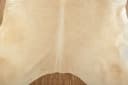 KUHFELL online & NOMAD Fellteppich Kuhfell Beige Rinder Fell Teppich Bild 4