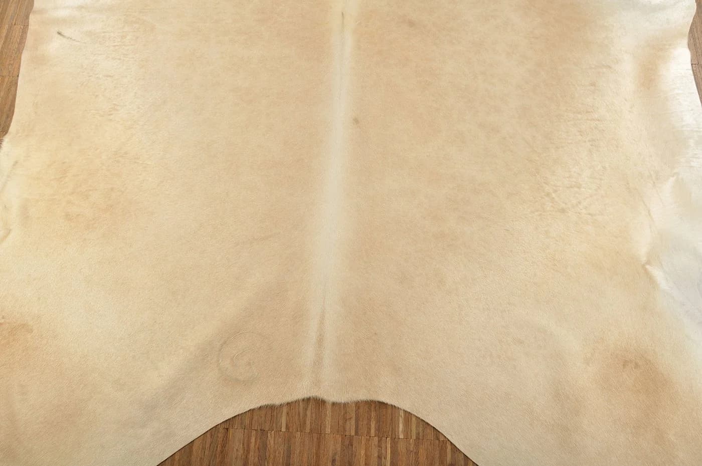 KUHFELL online & NOMAD Fellteppich Kuhfell Beige Rinder Fell Teppich - Bild 4