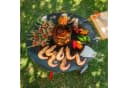 Grillrost.com BBQ Feuerplatte 80cm Feinkornstahl Silber Bild 5