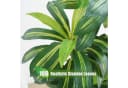 Athlix Kunstpflanze Dracaena 123cm mit Übertopf Grün Bild 3