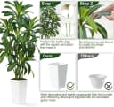 Athlix Kunstpflanze Dracaena 123cm mit Übertopf Grün Bild 4