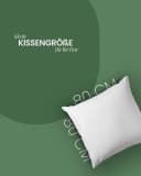 Bestlivings Federkissen 80x80 cm Weiß Made in Germany Downpass Bild 1