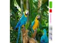 LA CUTE 5D Diamond Painting Papageien Malen nach Zahlen 30x40cm Bild 1