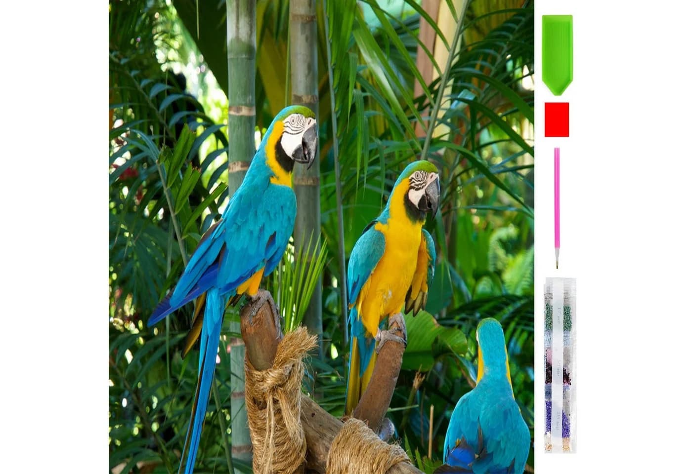 LA CUTE 5D Diamond Painting Papageien Malen nach Zahlen 30x40cm