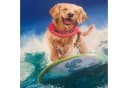 LA CUTE 5D Diamond Painting Surfing Dog 15x20cm Bild 1