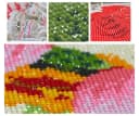 LA CUTE 5D Diamond Painting Papagei 15x20cm Bild 5