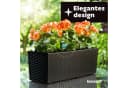 KONZEPT Balkonkasten Rattan-Optik Schwarz Kunststoff Bild 1