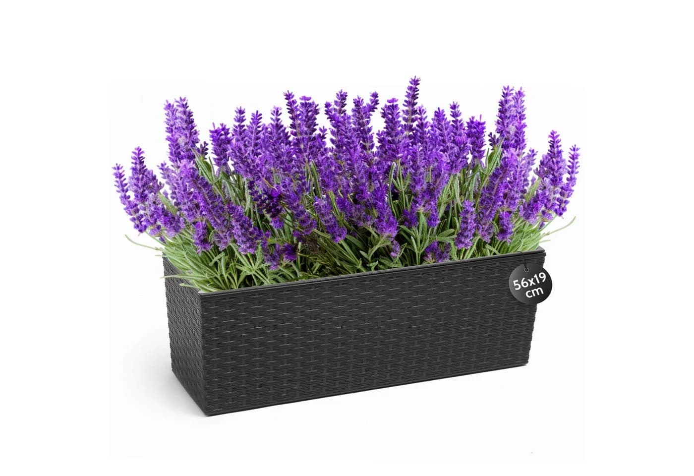 KONZEPT Balkonkasten Rattan-Optik Schwarz Kunststoff - Bild 2
